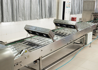 Εμπορική προσαρμοσμένη γραμμή παραγωγής κώνου Marshalling Cooling Conveyor