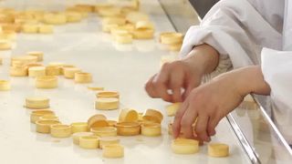 Αυτόματη ξινή γραμμή παραγωγής της Shell